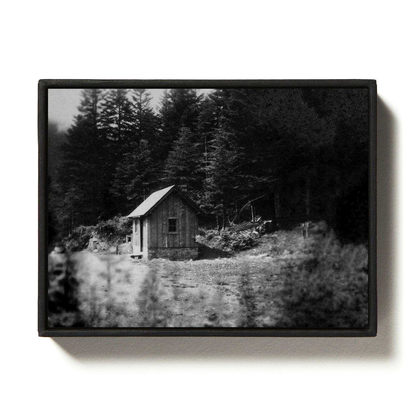 La cabane, Mister K.
